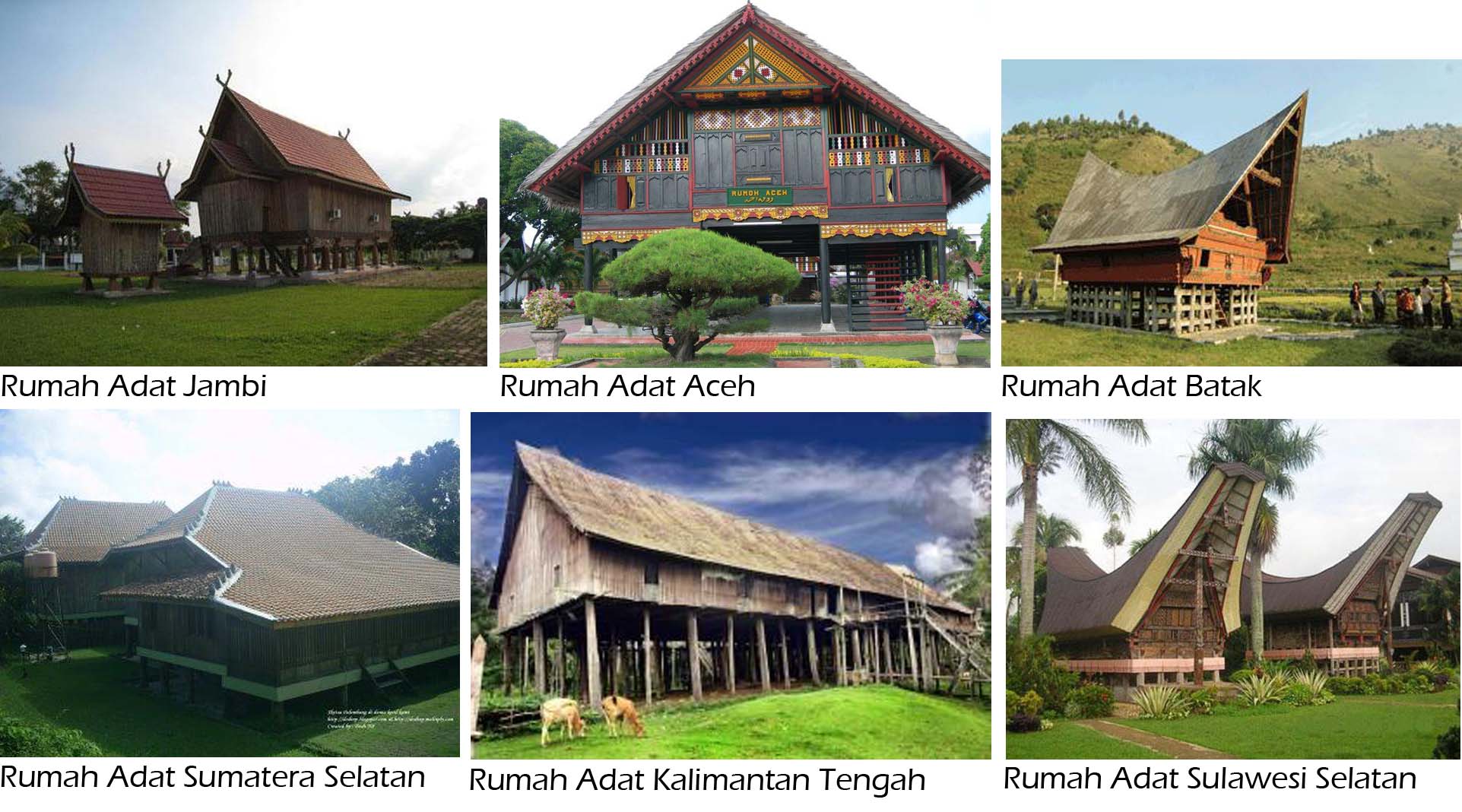 Cemerlang 21 Gambar Rumah Adat Yg Ada Di Indonesia 15 Untuk Dekorasi Rumah Untuk Gaya Desain Interior oleh 21 Gambar Rumah Adat Yg Ada Di Indonesia
