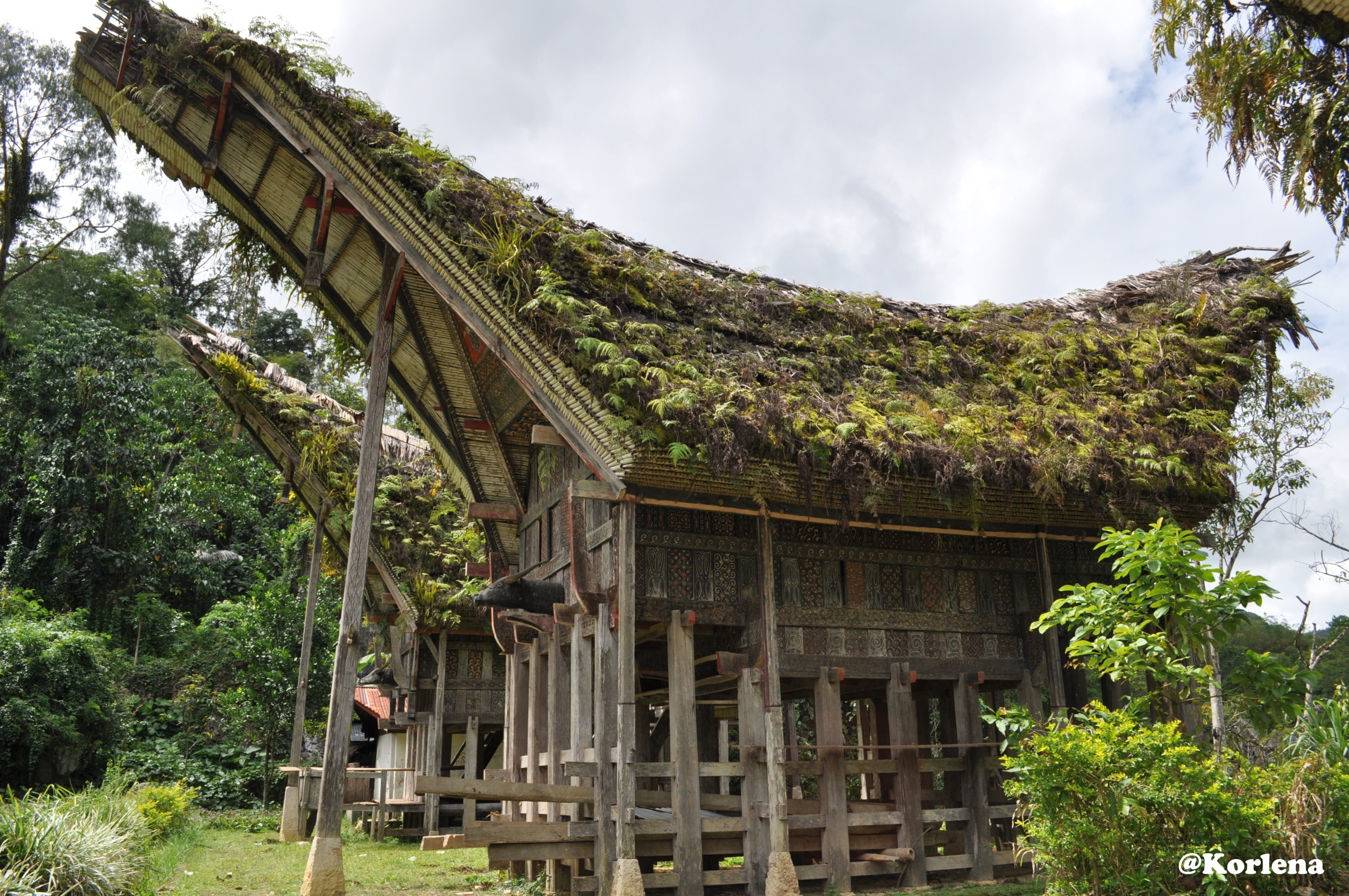 Cemerlang 21 Gambar Rumah Toraja 92 Di Ide Dekorasi Rumah Kecil untuk 21 Gambar Rumah Toraja