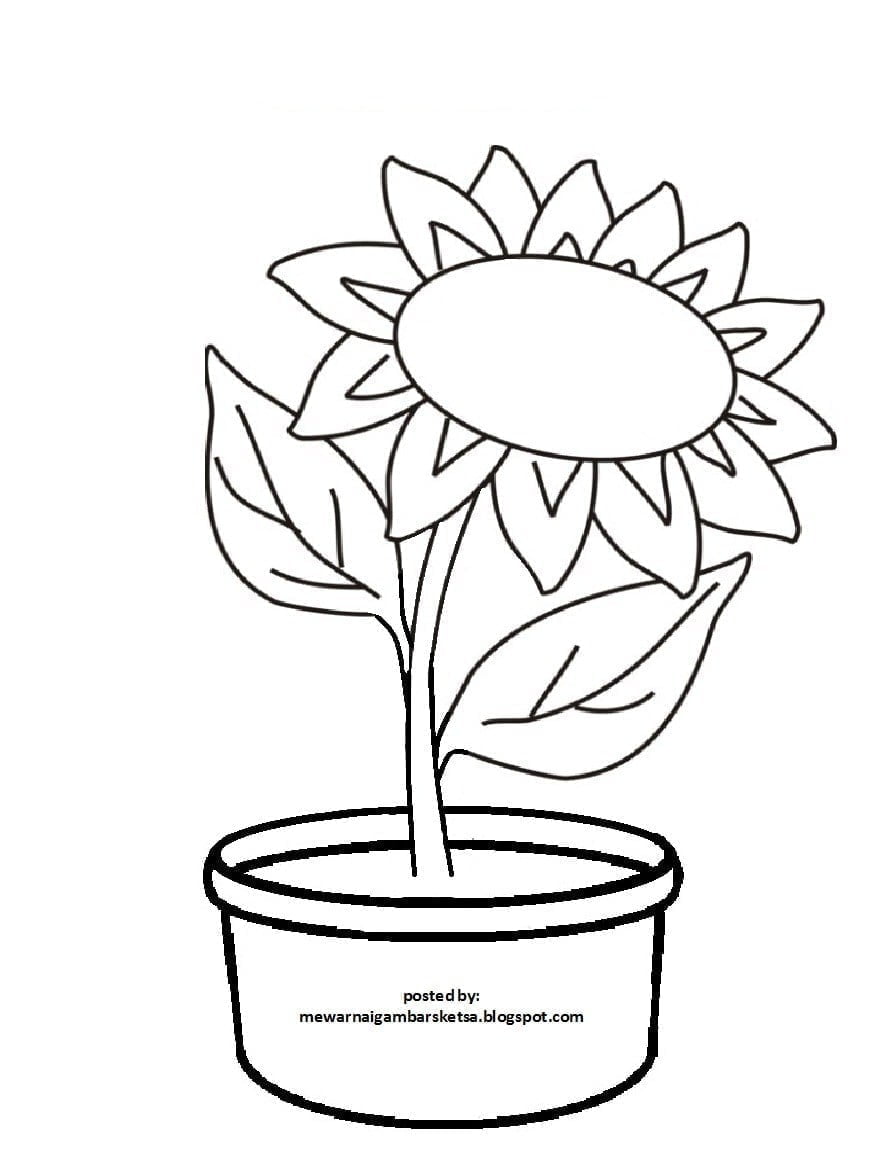Kumpulan gambar  untuk Belajar mewarnai Gambar  Bunga Yang  