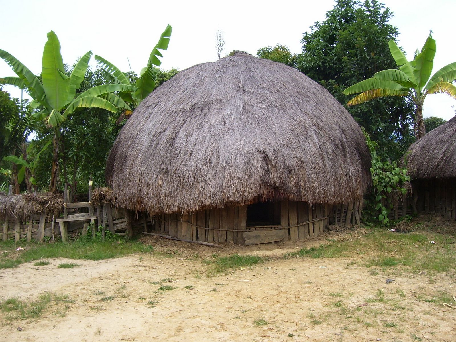 Wow 21 Gambar Rumah Adat Papua 73 Ide Merancang Interior Rumah oleh 21 Gambar Rumah Adat Papua