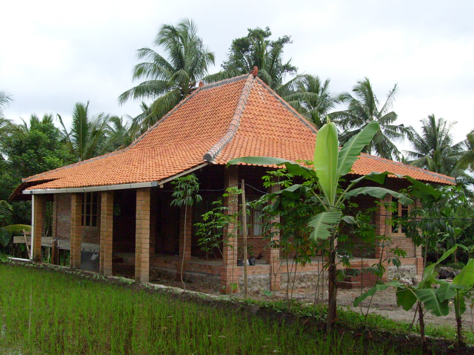 Cemerlang Desain Rumah Sederhana Jawa 82 Bangun Rumah Merancang Inspirasi dengan Desain Rumah Sederhana Jawa