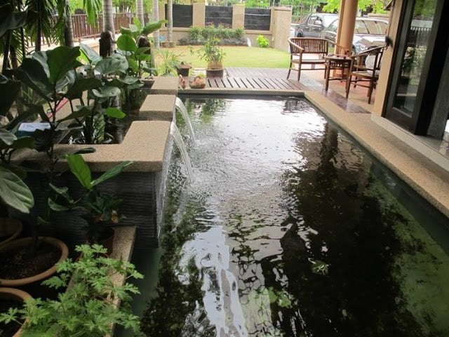 Indah Desain Rumah Ada Kolam Ikan 92 Dalam Dekorasi Rumah Inspiratif untuk Desain Rumah Ada Kolam Ikan