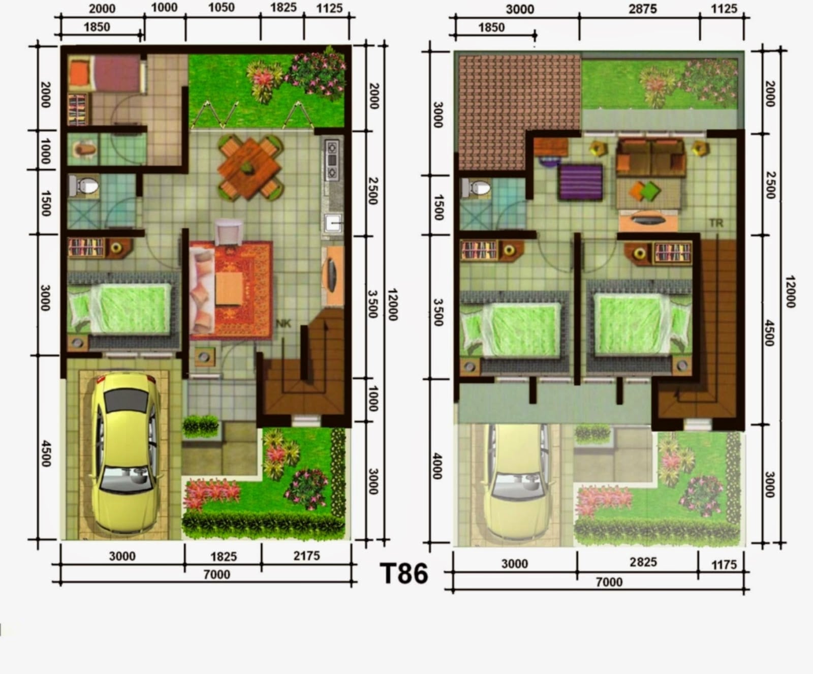 39 Populer Rumah Minimalis 7 X 12 Istimewa Banget