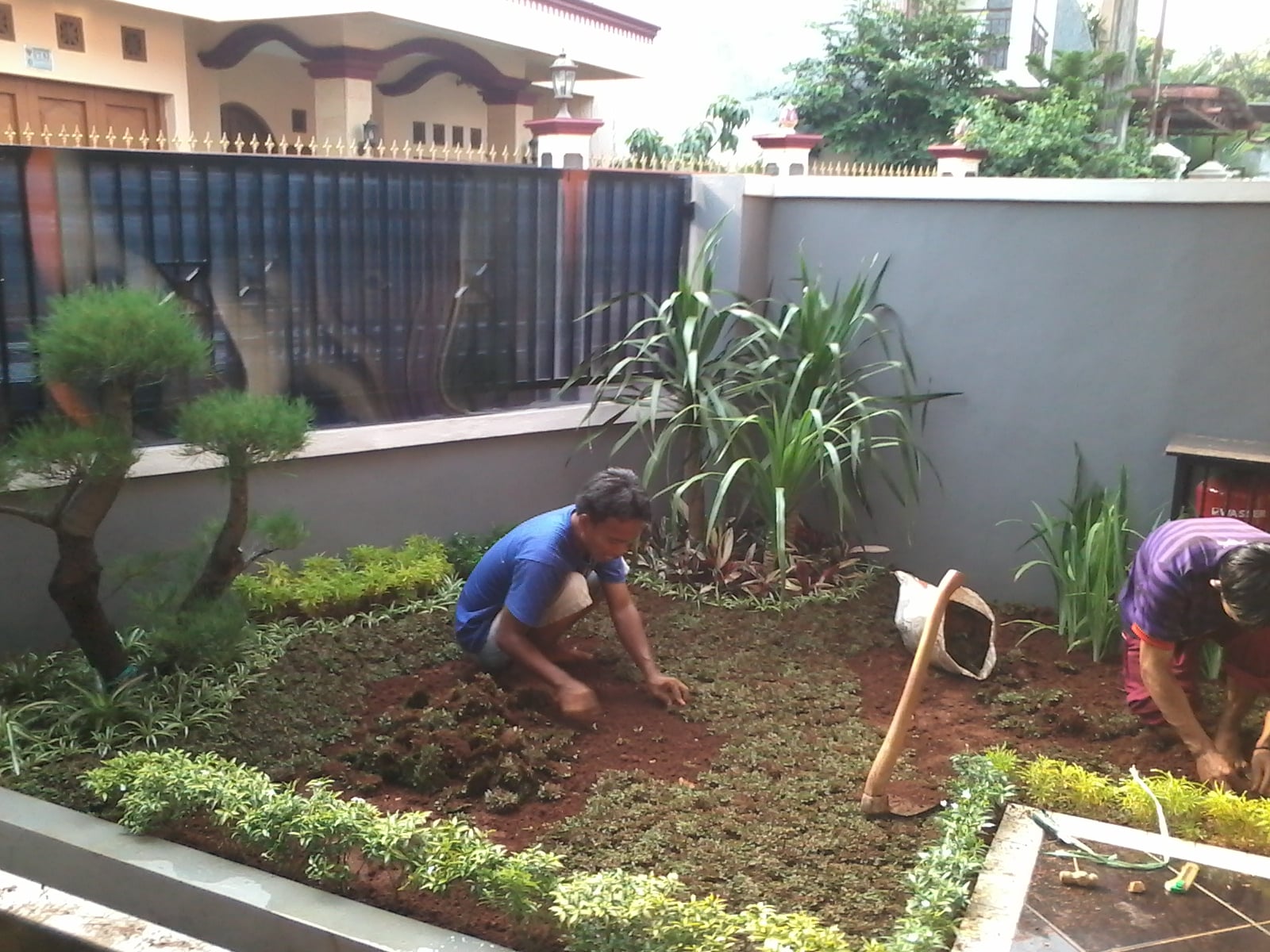 99 Terindah Taman Rumah Sederhana Paling Terkenal