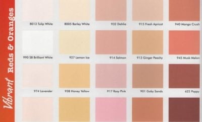 46 Ragam Seni Warna Peach Minimalis Paling Banyak di Cari