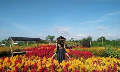 33 Populer Desain Taman Refugia Magetan Trend Masa Kini