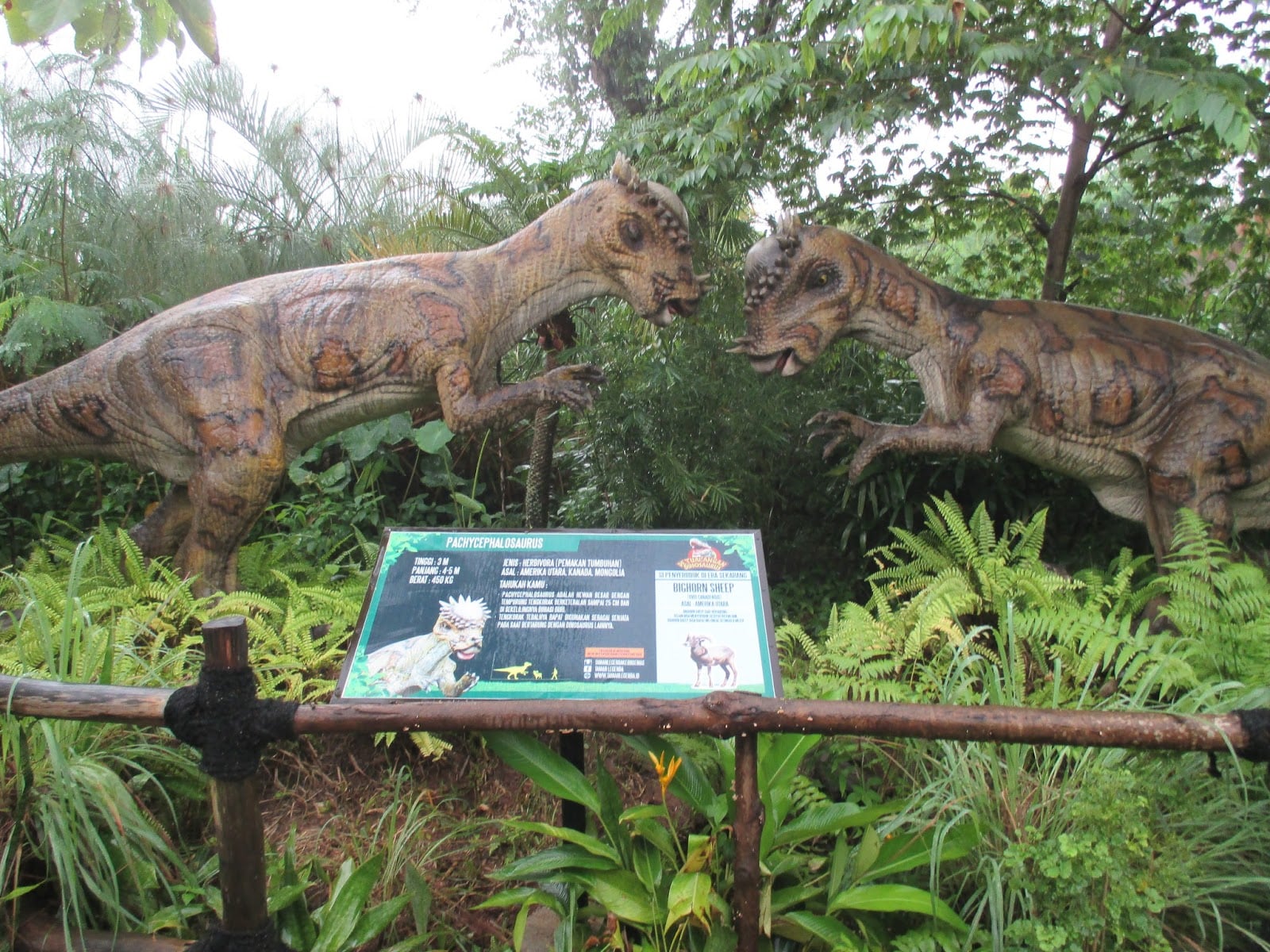 38 Inspirasi Desain Taman Dinosaurus Di Batam Istimewa Banget