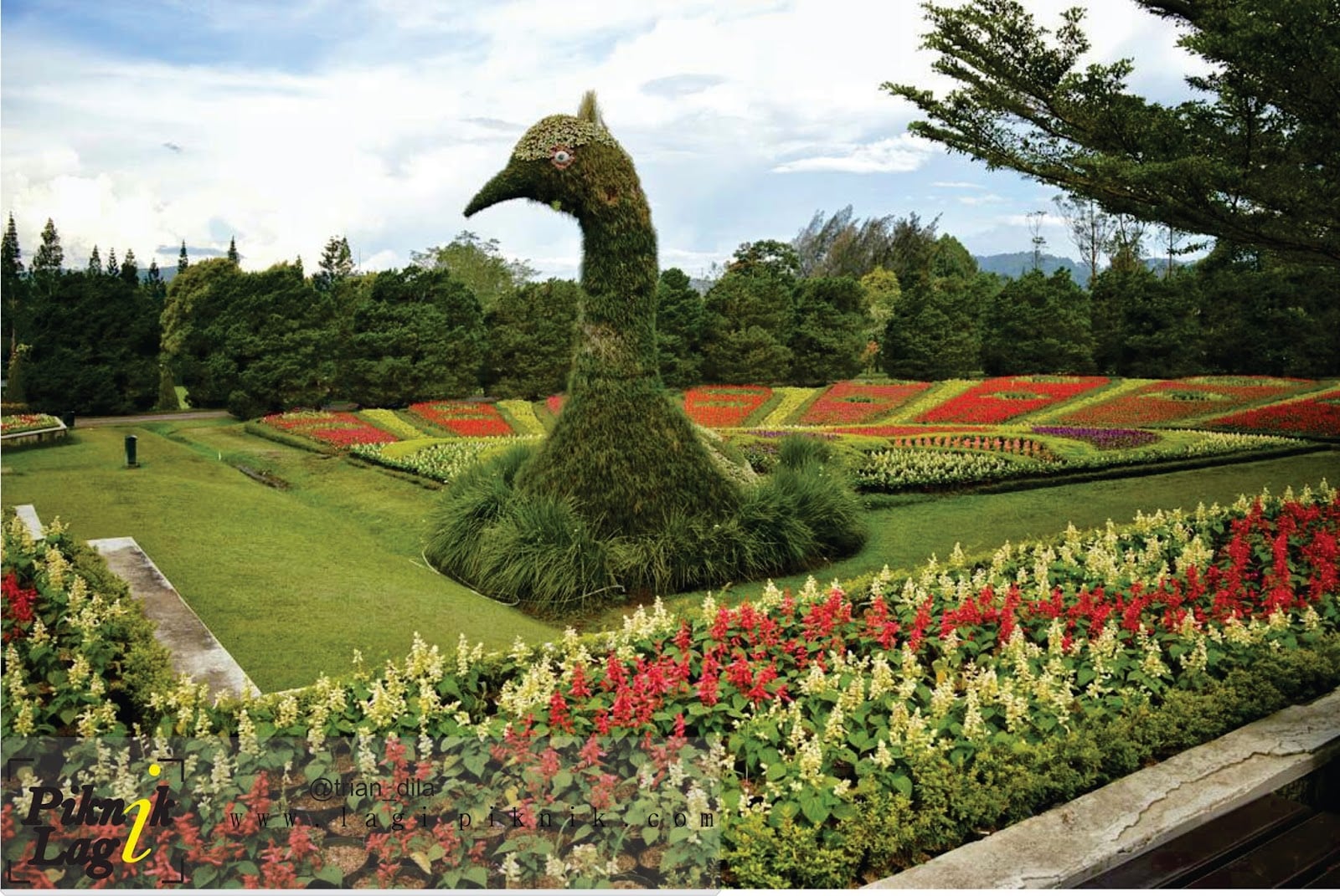 59 New Desain Taman Bunga Nusantara Kreatif Deh