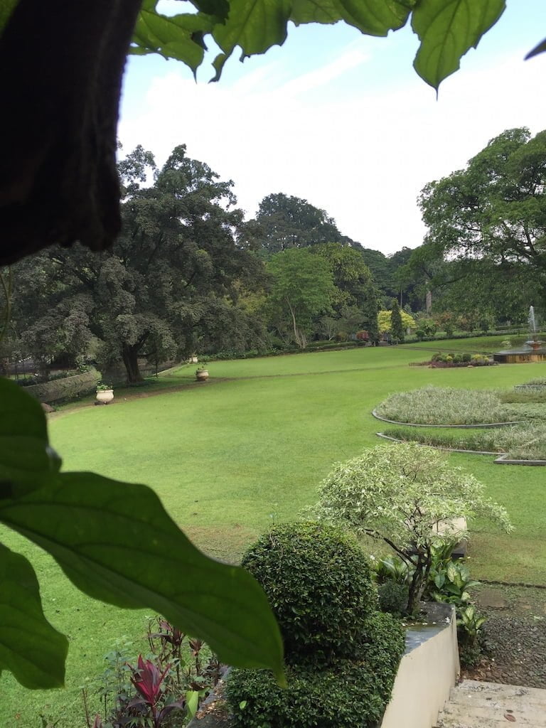 63 Gambar Desain Green Garden Bogor Trend Masa Kini