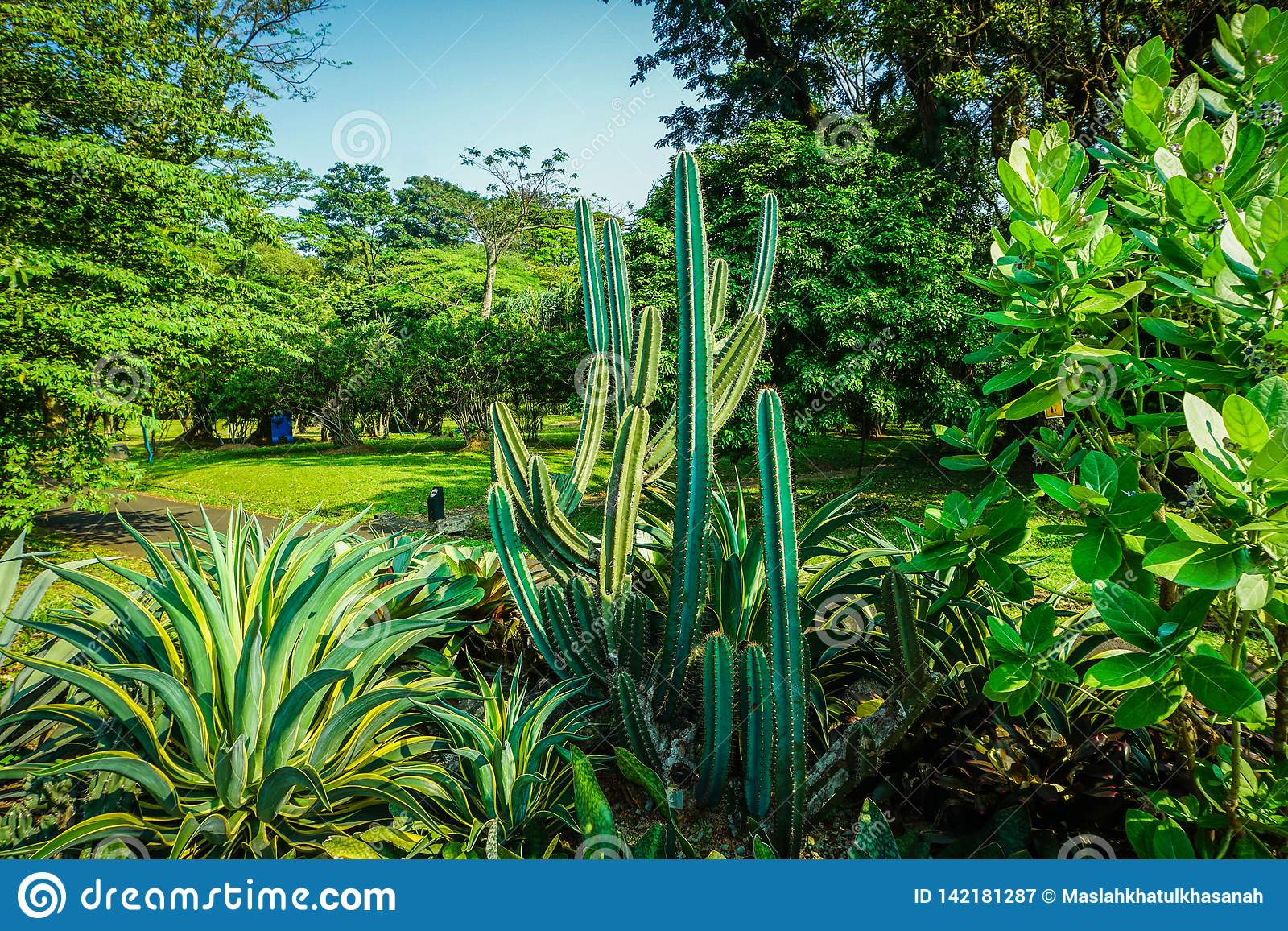 66 Inspirasi Desain Green Garden Bogor Paling Banyak di Cari