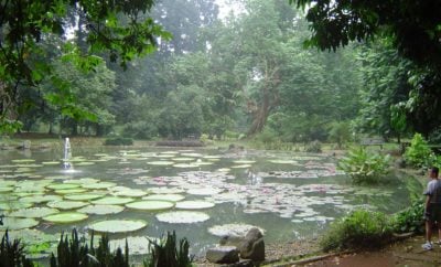 73 Populer Desain Green Garden Bogor Kreatif Deh