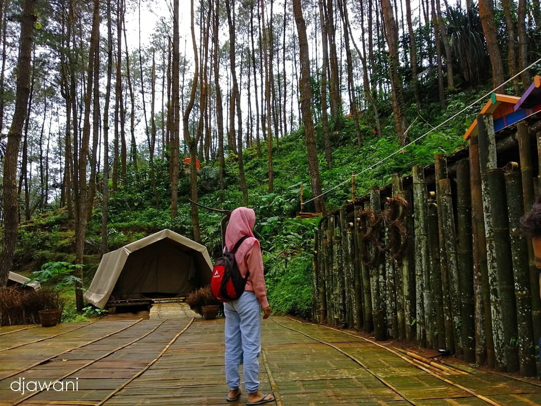 74 Kumpulan Desain Taman Bunga Loano Purworejo Paling Terkenal